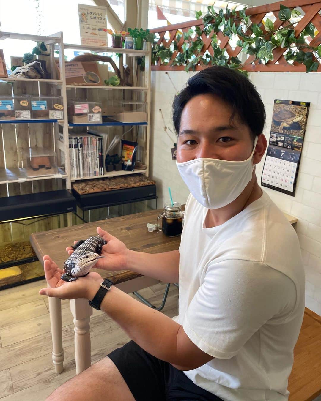 瀬崎一耀のインスタグラム：「キタアオジタトカゲ！  去年の夏にアニマルカフェMILKという掛川のお店で出会った子です😚 ご覧の通り、初めましてなのにベッタリでとてもおとなしい子でした！  舌が青いアオジタトカゲの仲間ですが、今年の秋頃に「ツチノコ発見」という見出しで新聞に載っていました！ ひょうたん型の身体がツチノコに似ていると言われています🦎  #キタアオジタトカゲ #アオジタトカゲ #爬虫類好きと繋がりたい  #爬虫類好きの人と繋がりたい  #reptiles  #reptilesofinstagram  #reptilelover」