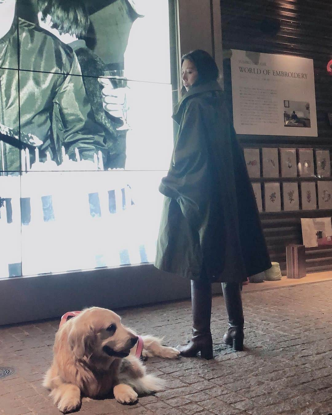 高橋ひとみさんのインスタグラム写真 - (高橋ひとみInstagram)「お散歩🐾 coat #grenfell1923 #grenfellcape」3月12日 19時31分 - hitomi_momoe