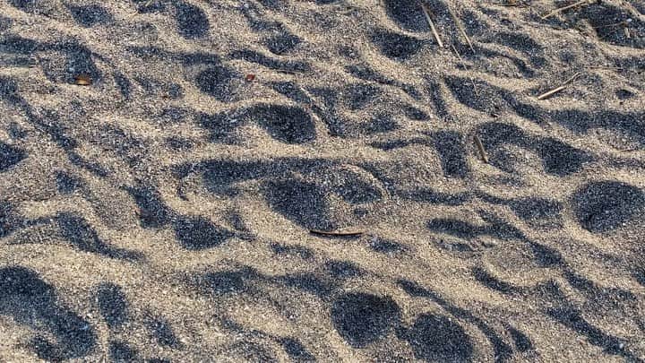 小野武正のインスタグラム：「たまには自然とコラボ #わしつなぎ 波の音に癒されるンゴねえ」