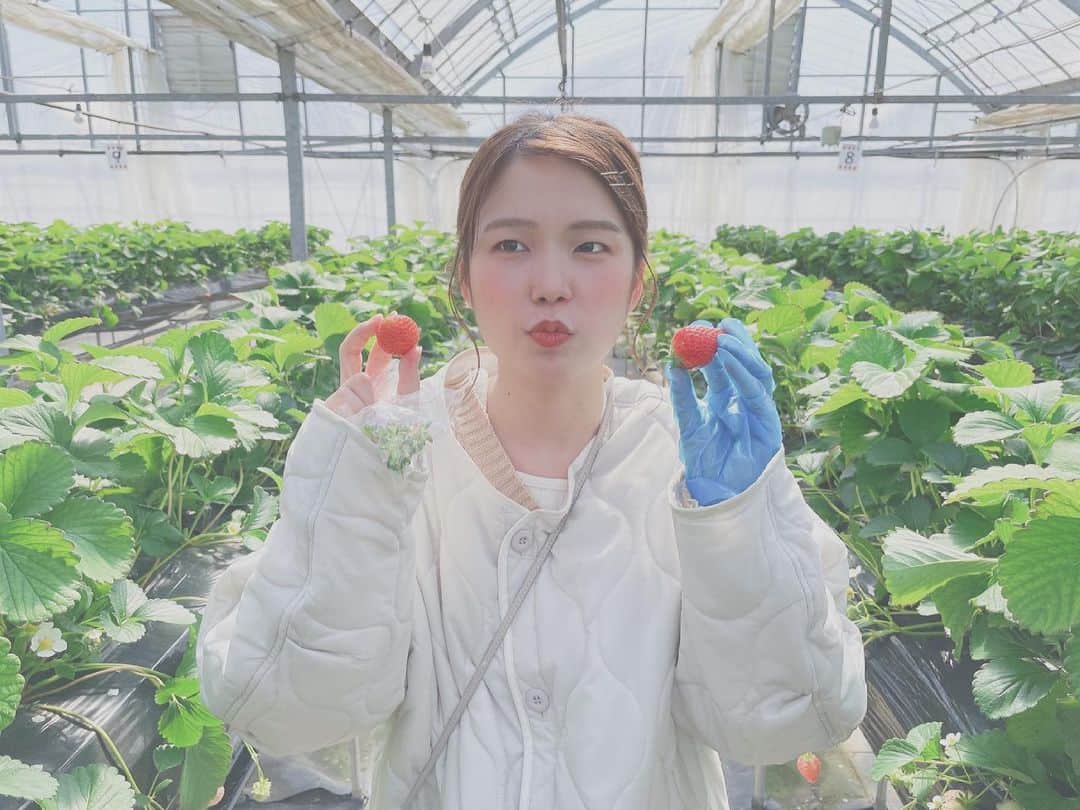 田中みかんのグルメインスタ