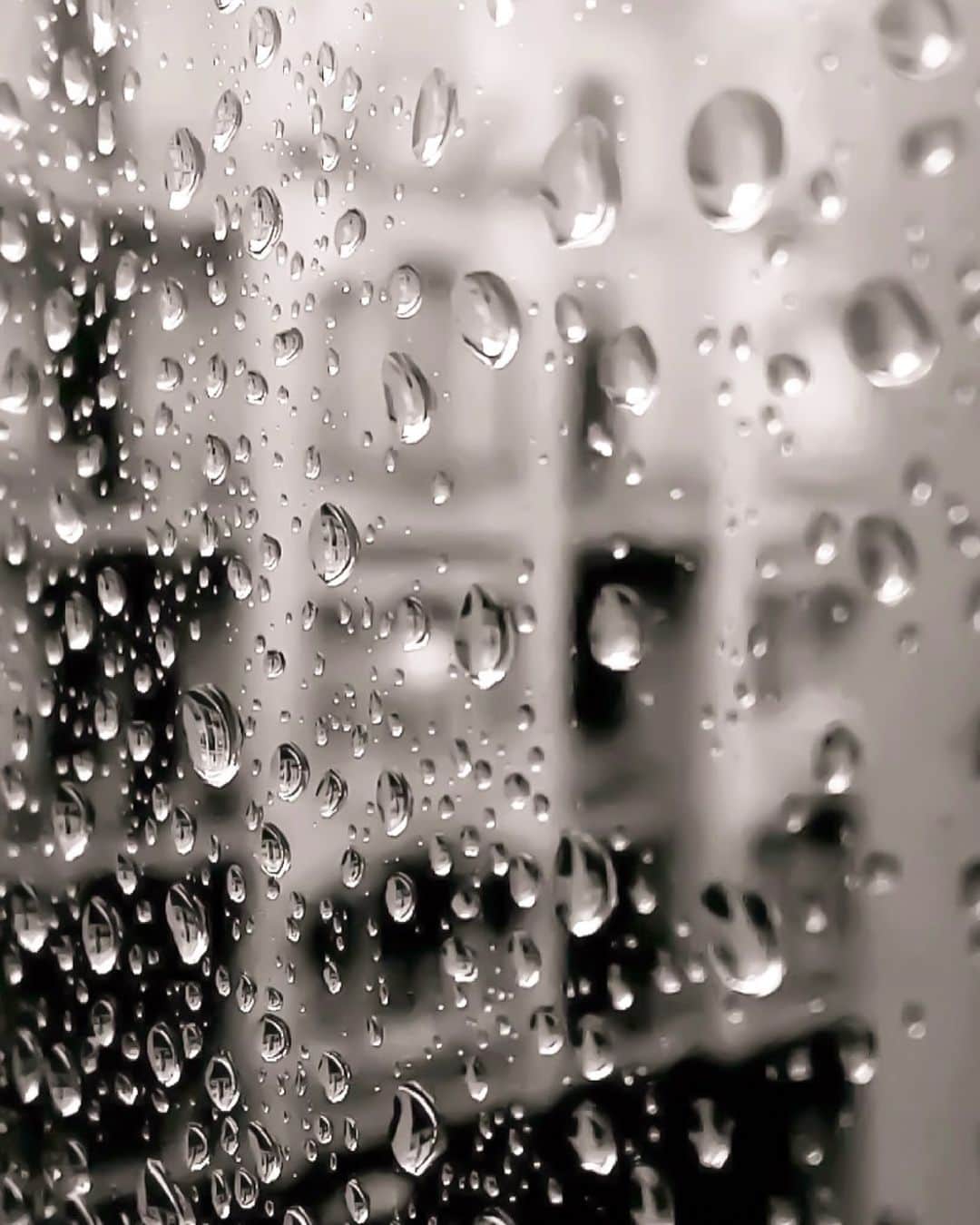 のインスタグラム：「🌂  𝐶𝑜𝑛𝑔𝑟𝑎𝑡𝑢𝑙𝑎𝑡𝑖𝑜𝑛𝑠 𝑜𝑛 𝑦𝑜𝑢𝑟 𝑔𝑟𝑎𝑑𝑢𝑎𝑡𝑖𝑜𝑛!  雨が降る前に終えました セーフ😹  とりあえず中学もがんばってました 私はまたかばんを一度も触れず😹 3年間終わり〜🎌  ご卒業のみなさん おめでとうございます👏🏻」