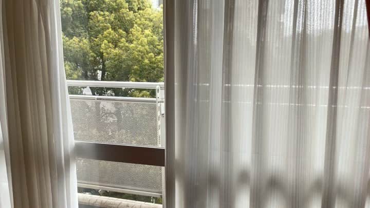 藤井美加子のインスタグラム：「東京は雨☂️  サユラーのみんな白湯飲んだ？😽 本日21時よりインスタライブです🌱  お時間ある方は 遊びに来てくれたら嬉しいな♪ 紙とペン用意してねね。  #土曜日#雨#低気圧#みんなで集まれば元気出るさ#パワー送るよ#綺麗になろうよ#新月#三木美加#子はどこいった？」