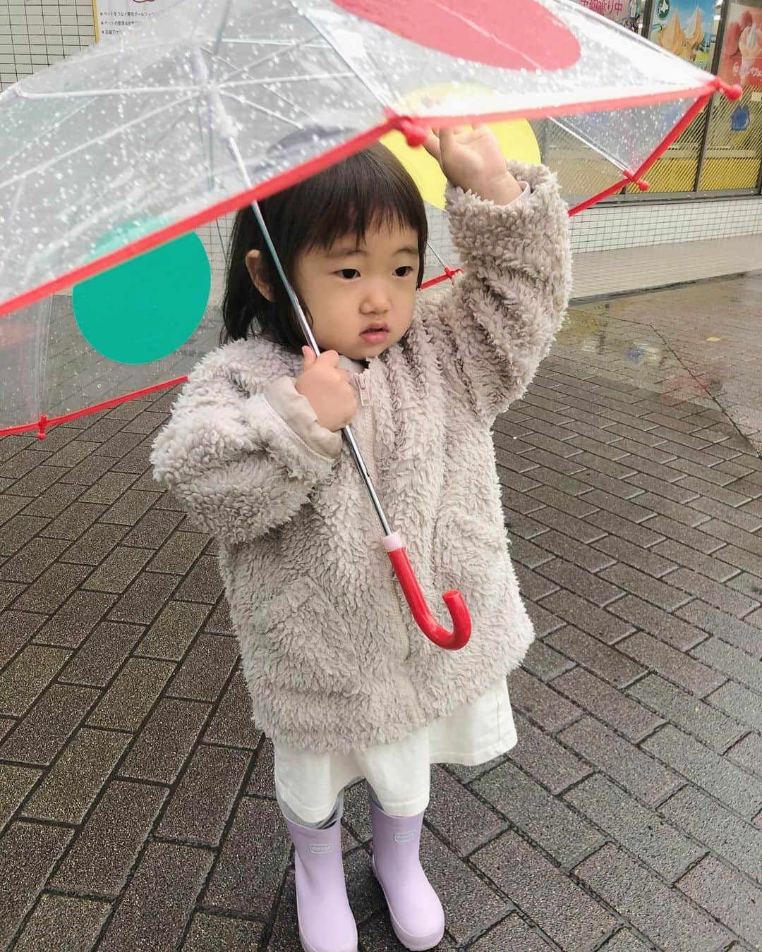 那須久美子さんのインスタグラム写真 - (那須久美子Instagram)「パパの美容室帰りに @flyingtigerjp で自分で選んで買った初めての傘☂️✨  「早く雨降らないかなー。。。✨」  と家の中で傘をさす練習を何度もしてた🤣💕  パパに、  「家で傘をささない！傘を人に向けない！傘を持ったままふざけない！」  と、3ヶ条を教えられ復唱させられるも、すぐに破って家で傘をさす華様でした💦  本日は全てのご予約を頂いてます✂️  日曜日はまだ空きがありますので、ぜひお待ちしております💕  皆様お気をつけてお越しくださいね💕  #flyingtiger #子供の傘 #rainyday  #zarababy #☔️☔️☔️」3月13日 9時43分 - nasu_kumiko