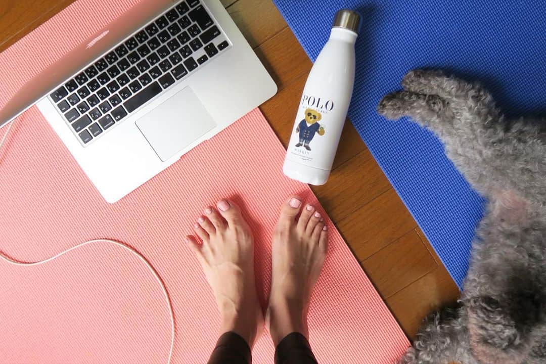 Mai Wakimizuのインスタグラム：「毎晩欠かさず飲んでるデドックスティー、デルール。この日は飲むのを忘れて朝を迎えてしまったので、毎週1回オフィスで仕事前に行ってるズームトレーニングの水分補給に＼(^o^)／このセットめちゃくちゃ健康な気がしてる♡笑 ダイエットのご指導を頂いてる千春先生 @chiharudoiのトップページから購入出来ます♡トレーニングは毎回カプリも参加(いつも誰かの邪魔してる。笑)♡ #ダイエット#デルール」