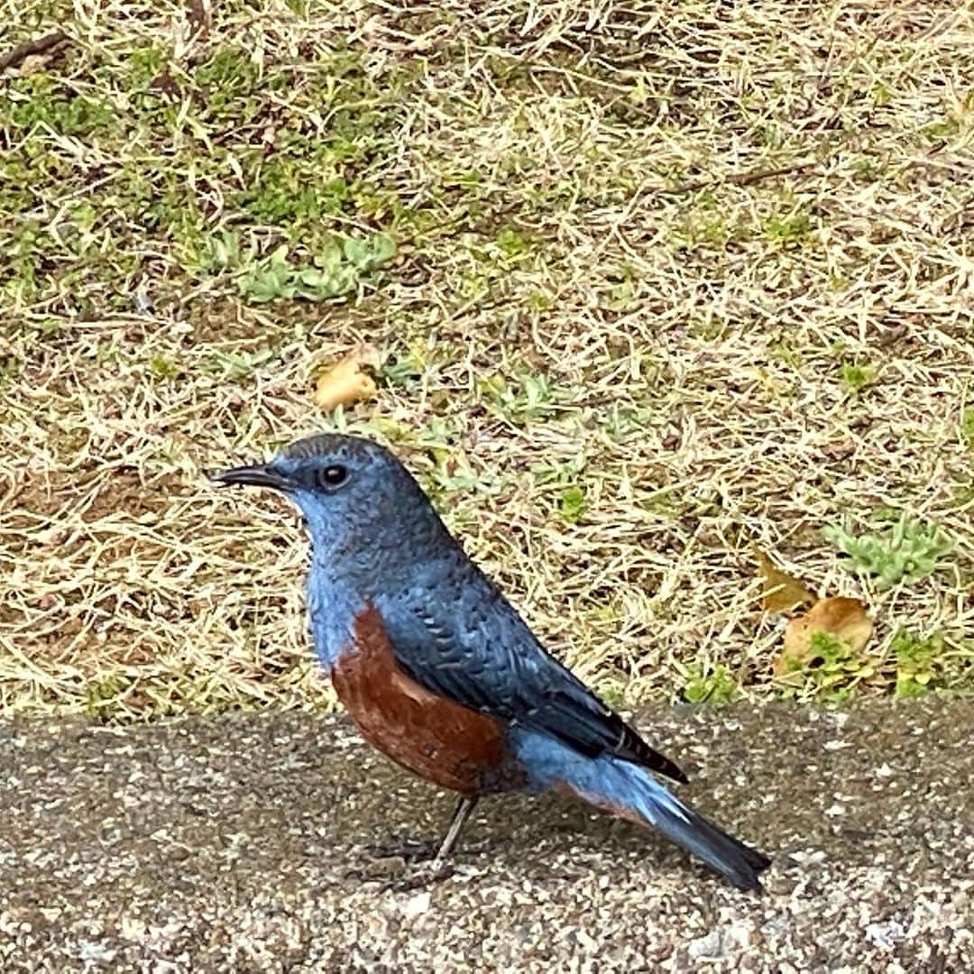 竹岡圭のインスタグラム