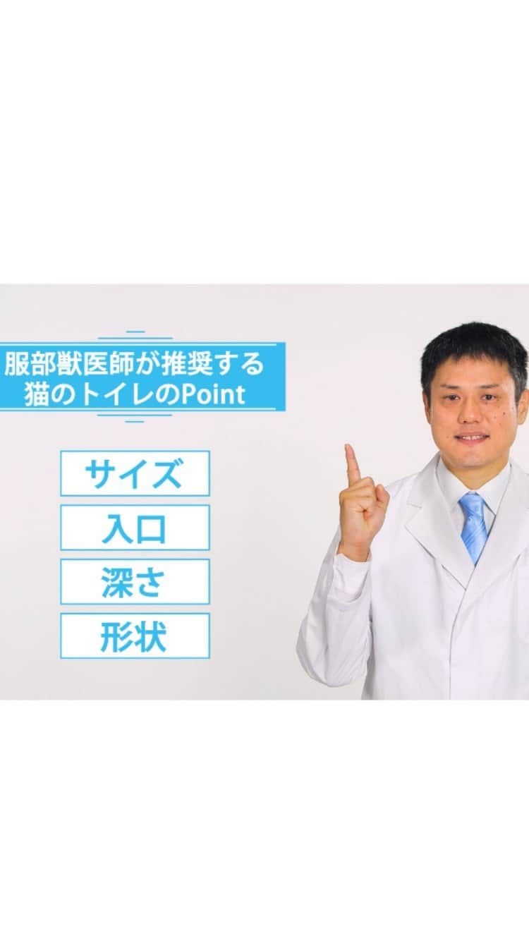 ライオン商事株式会社のインスタグラム：「東京猫医療センター院長服部獣医師と当社獣医師の共同開発で生まれた猫トイレ！ 詳しい情報は↓のURLをCheck✨  ▼ 商品情報 https://www.lion-pet.jp/catsuna/nekotoilet/  ▼ 猫が喜ぶ快適なトイレ環境とは？ https://www.lion-pet.jp/knowledge/ideal_toilet.htm  #猫トイレ #獣医師開発猫トイレ #トイレイヤイヤサイン #獣医師 #猫 #ねこ #ねこすたぐらむ #cat #catstagram #トイレ #lionpetcat #ライオン商事 @lion_pet_cat」