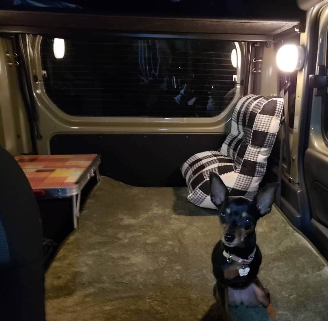 のインスタグラム：「車の中の様子。だんだん出来上がってきた。 #nバン」