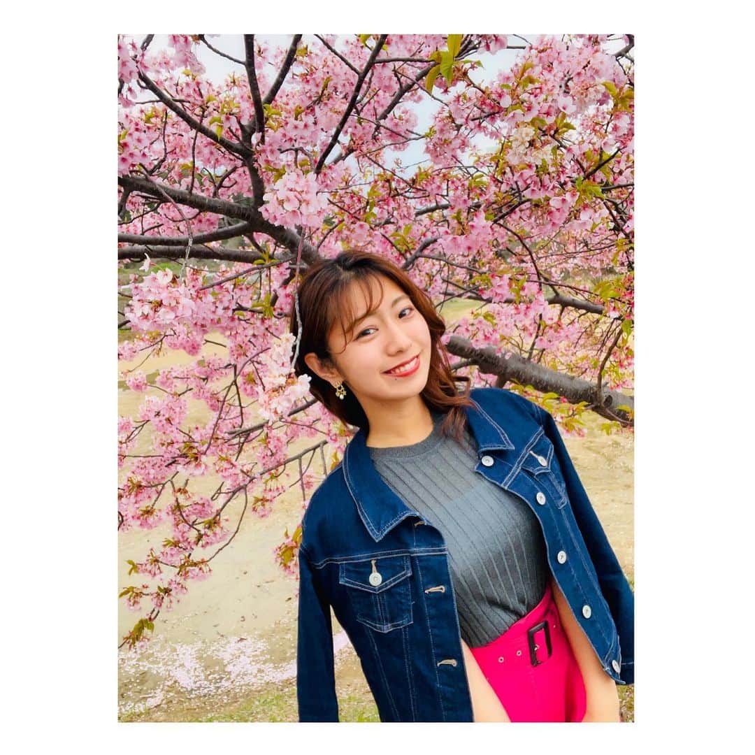 のインスタグラム：「河津桜🌸 . ちょっと葉桜になっちゃってたけど🍃 綺麗だったなあ🥰 見に行けて良かった💕 . #香川 #東かがわ市 #湊川 #春 #桜 #花見 #河津桜 #見ごろ過ぎてた かな？ #春コーデ #ピンク #トレンドカラー だよ . outer: @apuweiser_official  tops: @maisonkitsune  skirt: @fray_id」