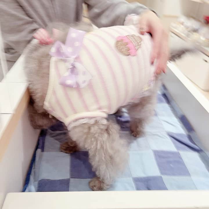 和泉佳子のインスタグラム