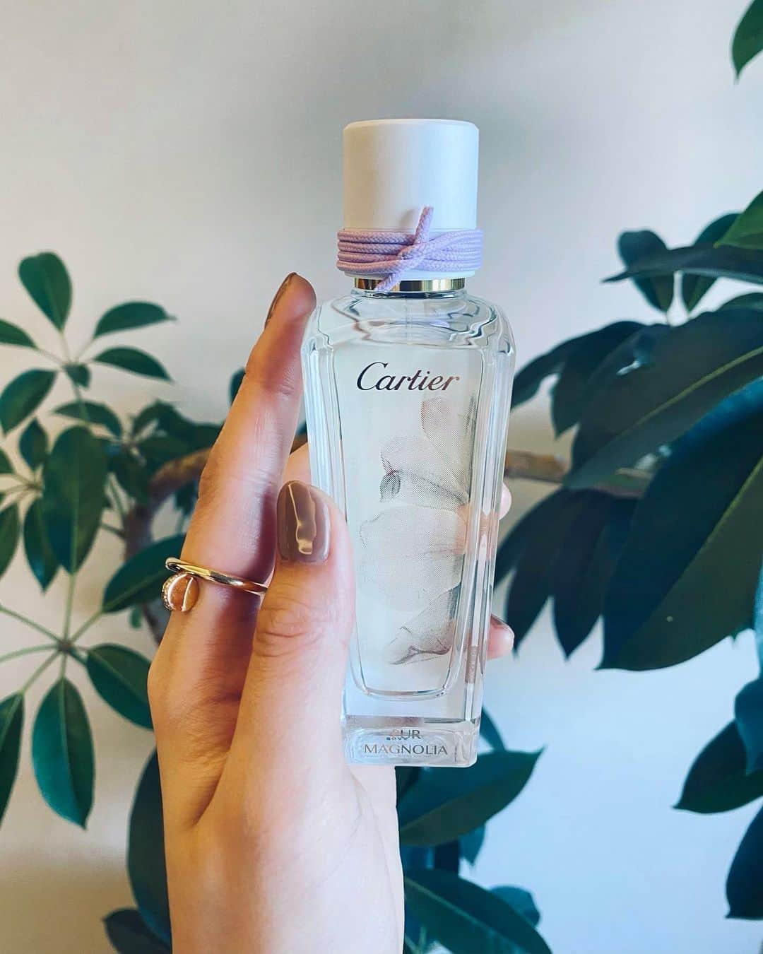 西内まりやさんのインスタグラム写真 - (西内まりやInstagram)「It's my favorite perfume🤍  #LesEpuresDeParfum #CartierFragrances @cartier  @mathilde.laurent」3月13日 14時27分 - mariya_nishiuchi_official