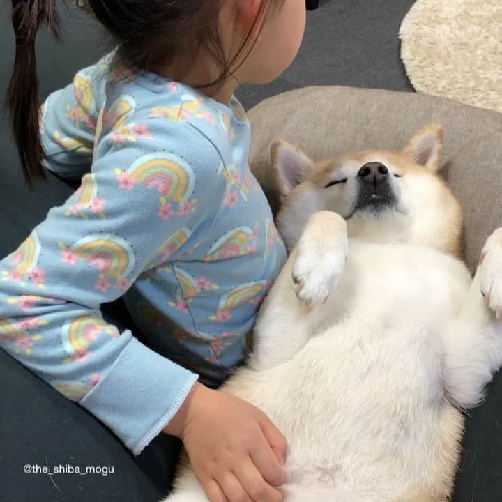 Moguのインスタグラム：「. お昼寝中なの。 Nap time #もぐおねむ #なかよし . @the_shiba_mogu  #柴犬 #shibainu #shiba#赤柴 #redshiba#犬 #dog#しばいぬ#nannydog#犬と子供#子供と犬#柴犬と子供#柴#赤ちゃんと犬#犬と赤ちゃん#柴犬と赤ちゃん#赤ちゃんと柴犬#柴犬のいる暮らし#子守犬」