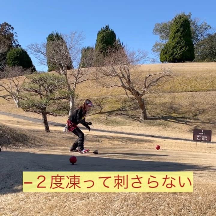 さくらのグルメインスタ