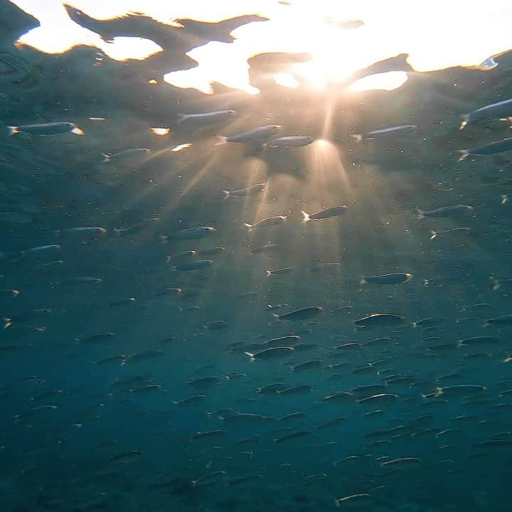 湯川正人のインスタグラム：「I feel you」