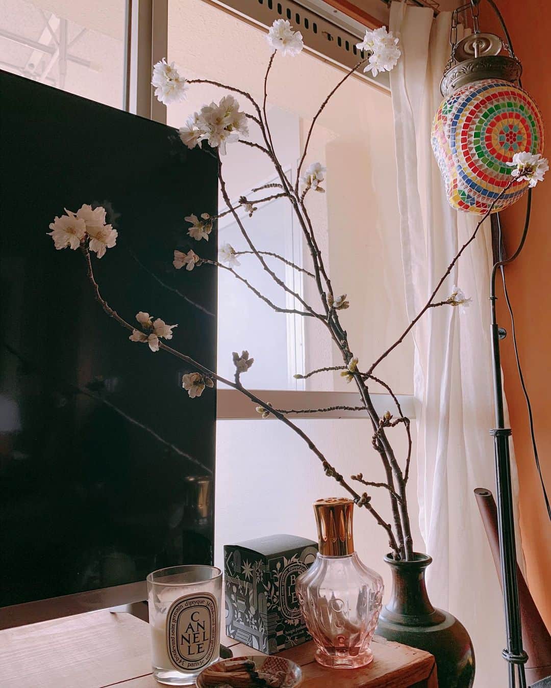 入夏さんのインスタグラム写真 - (入夏Instagram)「我が家の桜が咲いてきて春気分❤️ 最近は家で過ごす時間が多いからいつもお部屋にお花を飾るようにしてるよ。  やっぱりふと目に入ってくると癒されるよね🌸」3月13日 18時58分 - iruka__offi