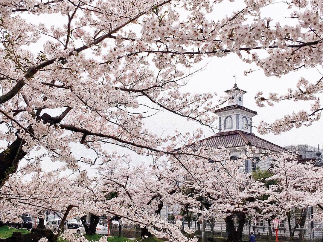 松浦彩さんのインスタグラム写真 - (松浦彩Instagram)「#tsuruoka ⠀ 生まれた街なので手前味噌ですが、鶴岡はとても美しい街だと思います🌸 ⠀ 昨年は見られなかった鶴岡公園の桜を今年はのんびり楽しめたらいいなあ☺️♡ ⠀ 前の投稿でもお知らせさせていただいたのですが、TUYテレビユー山形さんの「庄内LIFE」にリポーターとして出演しています😊♡ ⠀ 14日(日)15:00〜です！ よろしければご覧ください♫ ⠀ #tsuruokacity #鶴岡市 #庄内 #鶴岡公園 #桜 #山形 #yamagata #yamagatagram #yamagataprefecture #ファインダー越しの私の世界 #sakura #travelphotography #travelinjapan #山形旅行 #山形観光 #tohoku」3月13日 19時32分 - ayamatsuura.s