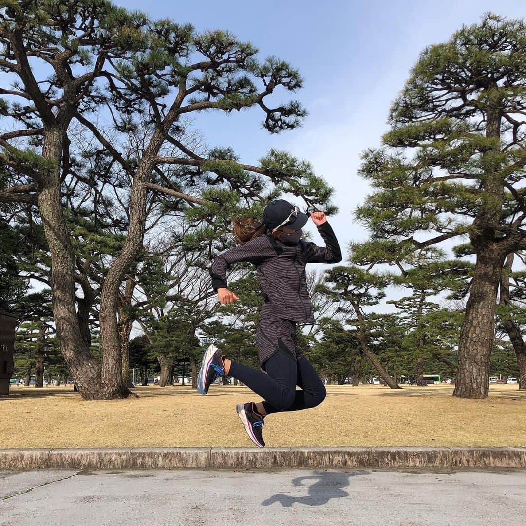 坪井ミサトのインスタグラム