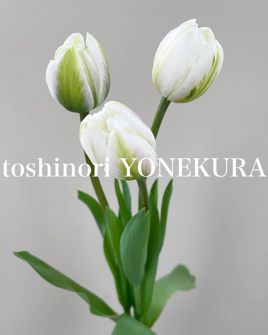 米倉利紀さんのインスタグラム写真 - (米倉利紀Instagram)「flowers of this week #男花 #花のある生活」3月13日 23時46分 - toshi_yonekura