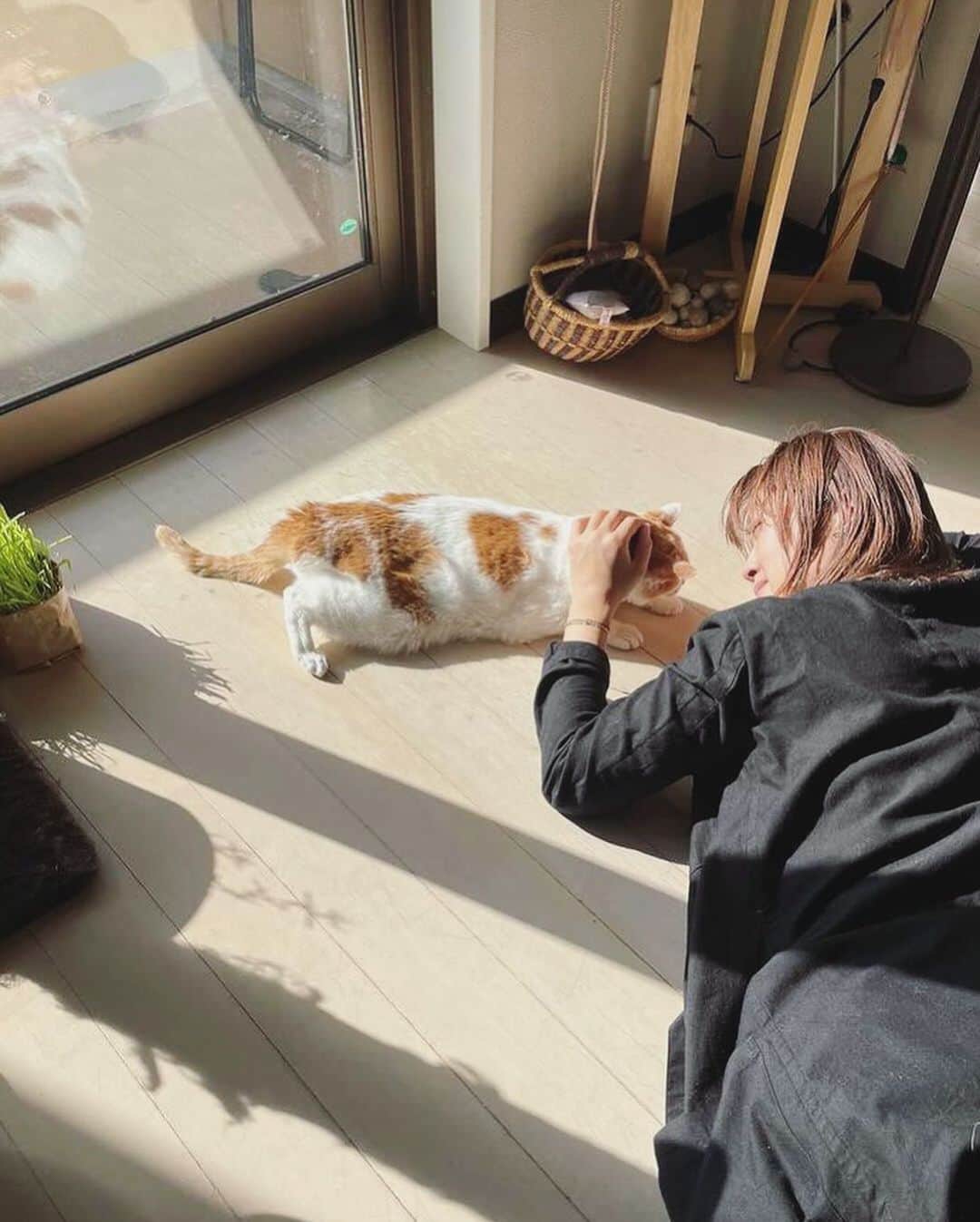 坂本美雨さんのインスタグラム写真 - (坂本美雨Instagram)「イオちゃんとゴロンとして、彼女が陽だまりの中で喉をゴロゴロ鳴らしてくれた冬の午後のひとときを忘れない。これからにつながる、なにか大事なことの原石を分け与えてもらった。  📷 @necozawaemi #猫沢イオ」3月14日 0時49分 - miu_sakamoto