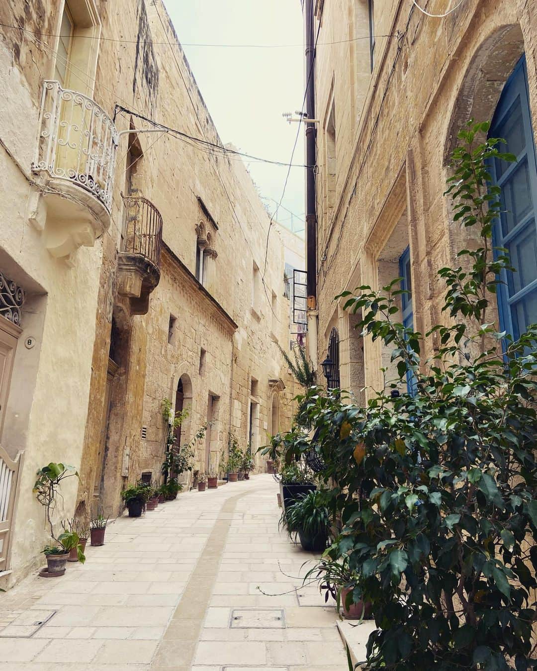荒尾茉紀のインスタグラム：「魔女の宅急便🐈‍⬛ぽくない？✨  #malta #birgu #kikisdeliveryservice #マルタ #スリーシティーズ #マルタ留学 #マルタ観光 #魔女の宅急便」