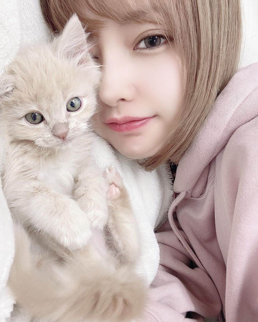 sarimaru(国木田さりまる)のインスタグラム：「猫くらい無条件に可愛がられたい人生」