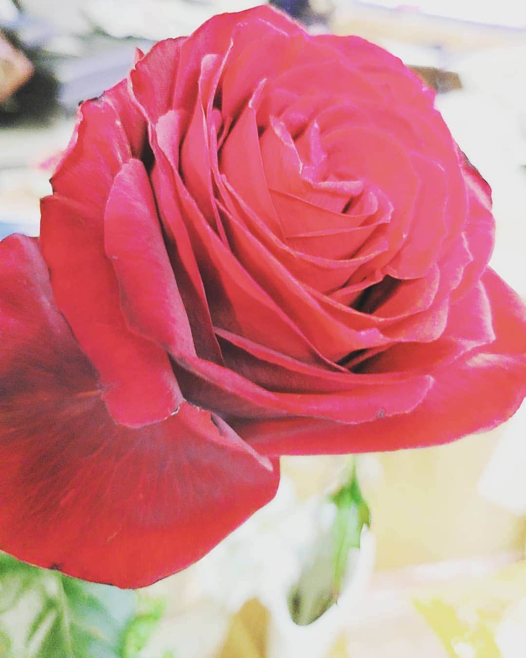 のインスタグラム：「９年❤️  思いやりを忘れずに♡♡♡♡♡  #whiteday」