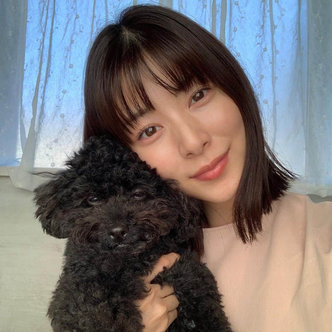 青谷優衣のインスタグラム：「前髪切った人とトリミング直前の犬💇🏻‍♀️  #もっこもこ #暑いね #お散歩日和だね #前髪　#ミディアムヘア」