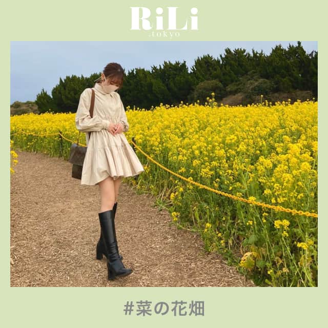 のインスタグラム：「春に行きたくなる【菜の花畑】🌼⁣ .⁣ 黄色いお花がかわいくて⁣  写真映えもバッチだね📸🤍⁣ .⁣ 桜🌸もいいけど【菜の花畑】💐も⁣ ぜひ見に行ってみてね🌿🌿⁣ ❣❣❣❣❣⁣⁣⁣⁣⁣ サイトやSNSで掲載させていただくお写真募集中😘📸⁣⁣⁣⁣⁣ かわいいコーデやアイテム、注目スポットなどが撮れたら、ハッシュタグ→#rili_tokyo を付けて投稿❗⁣⁣⁣⁣⁣ ．⁣⁣⁣⁣⁣⁣⁣⁣ Special Thanks💋 Photo by⁣⁣⁣⁣⁣⁣⁣⁣ @hina_o.t⁣ @daninstael⁣ @___me.___02⁣ @__shokogram.1231⁣ ⁣ ．⁣⁣⁣⁣⁣⁣⁣⁣ #菜の花#菜の花畑#桜#お花見#おしゃピク#お洒落さんと繋がりたい #ファッション #패션스타그램 #ootd #outfit」