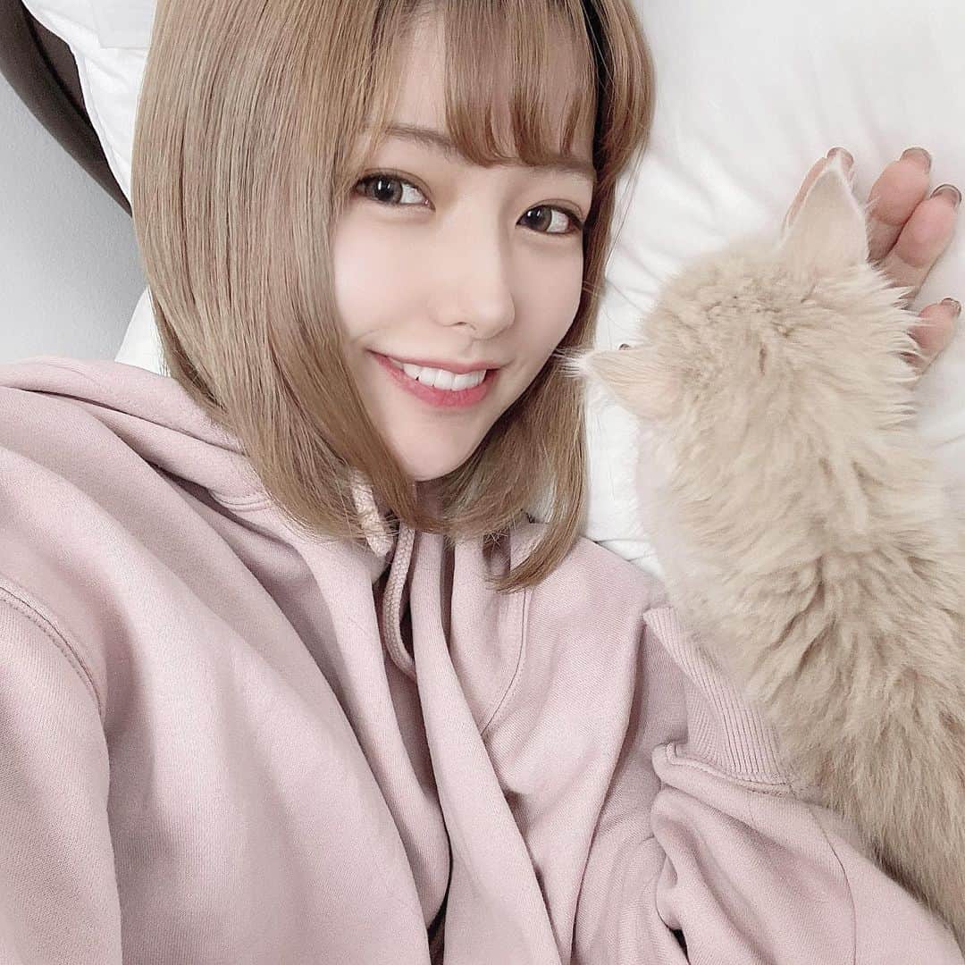 sarimaru(国木田さりまる)のインスタグラム：「猫＋布団＝天国」