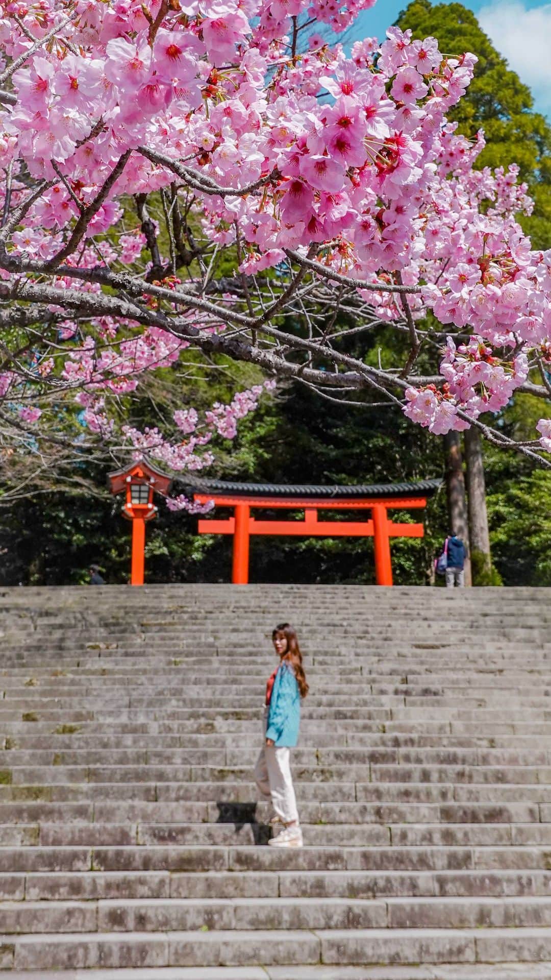 のインスタグラム