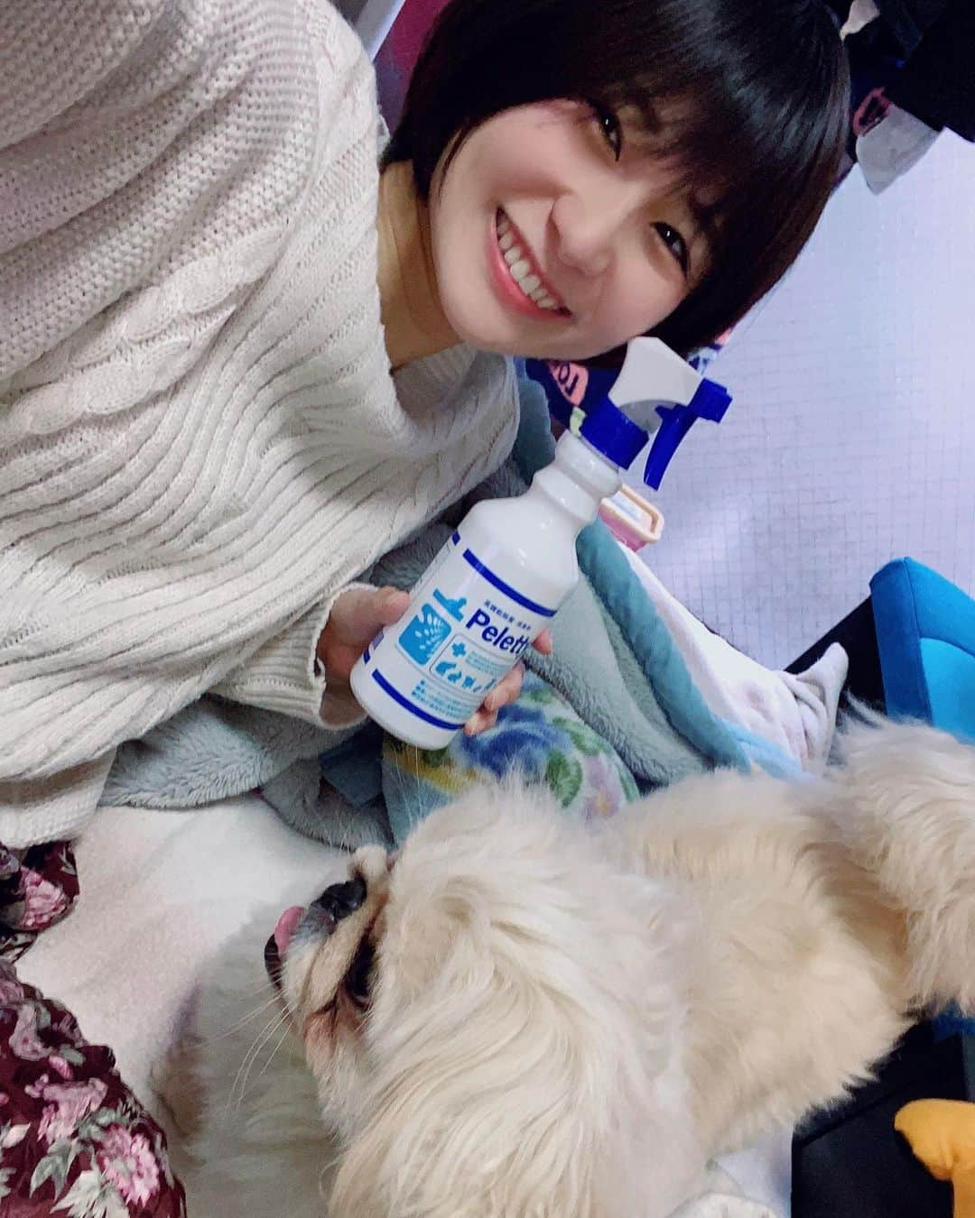 来栖うさこさんのインスタグラム写真 - (来栖うさこInstagram)「【PR】 . 動物病院でも使用されている ペット用の除菌・消臭スプレー 「Peletty（ペレッティー）」 . 届きましたあああ‼️🐶✨ . 臭いとか、マーキングしちゃった時の菌とか気になることがあるので嬉しい😭 . 塩素の匂いが極力抑えられているから、匂いに敏感な子でも大丈夫らしい！ちゃちゃまるは気にしないwwwwので、あれやけど🤣💓 . ちゃちゃまるも興味津々(*´-`) . . .  #Peletty #ペレッティ #ペット消臭 #ペット臭 #ペット除菌 #ウイルス除菌 #ペットのいる暮らし #ペット用品 #pr」3月14日 22時17分 - kurusu_usako