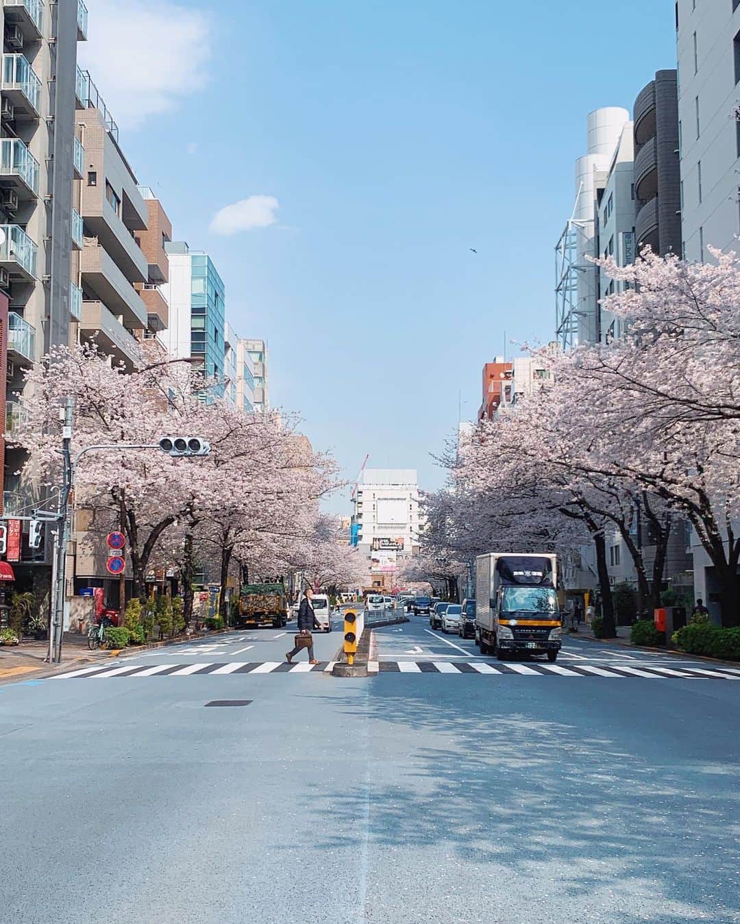 斎藤めぐみのインスタグラム：「綺麗な桜並木🌸  #桜#sakura2021」
