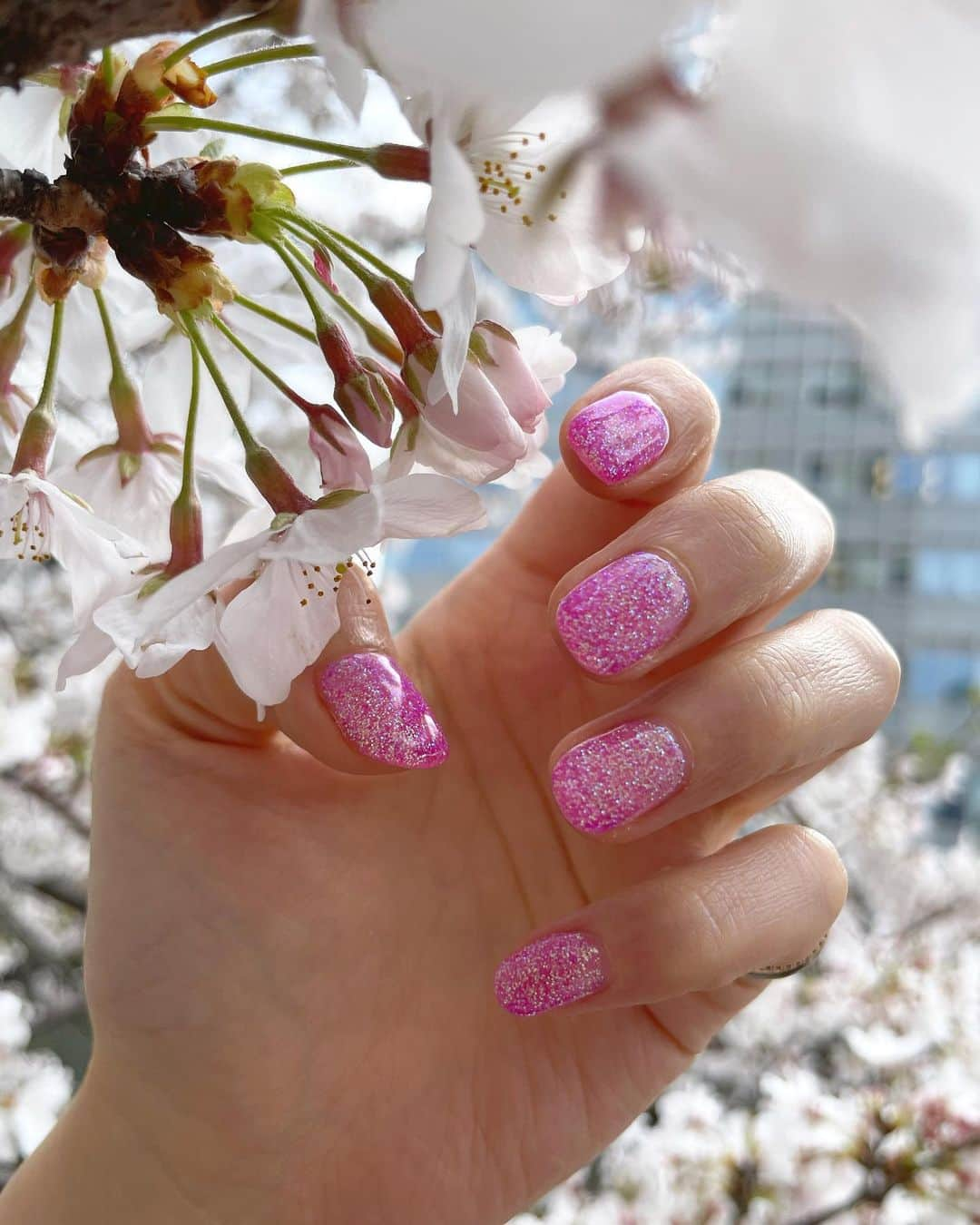 宮藤あどねさんのインスタグラム写真 - (宮藤あどねInstagram)「🌸newnail💅🌸💕 ショートネイルは派手色しか勝たん🥺  爪短くなってすっきり❕ 長い爪はシンプルが映える 短い爪は派手が映えるきがしてます… なんとなくだけど🤷‍♂️  そして仕事柄、 現場ネイルチェンジあるかもで ストーン乗せられません ネイルはシンプルのみですね⭐️  早い、安い、上手くて感動します。 シンプル派の子はぜひ ワンカラー3300円税別です💅🌈 @fastnail_official  ・ ・ ・ ・ ・ ・ ・ #ショートネイル #ラメグラデーションネイル #ラメグラ #nailart #桜ネイル #春色ネイル #シンプルネイル #ラメネイル #ラメグラデーションネイル #ネイルホリック #ネイルデザイン　#ネイルデザイン2021 #ホログラムネイル #ユニコーンネイル #桜色ネイル #ピンクネイル #映えネイル #派手ネイル #ショート派手ネイル #ピンクラメネイル #ワンカラーネイル #ワンカラーネイルデザイン #ジェルネイル #自爪ネイル #春服2021 #春ネイル　#fastnail」3月29日 18時24分 - adochan121212