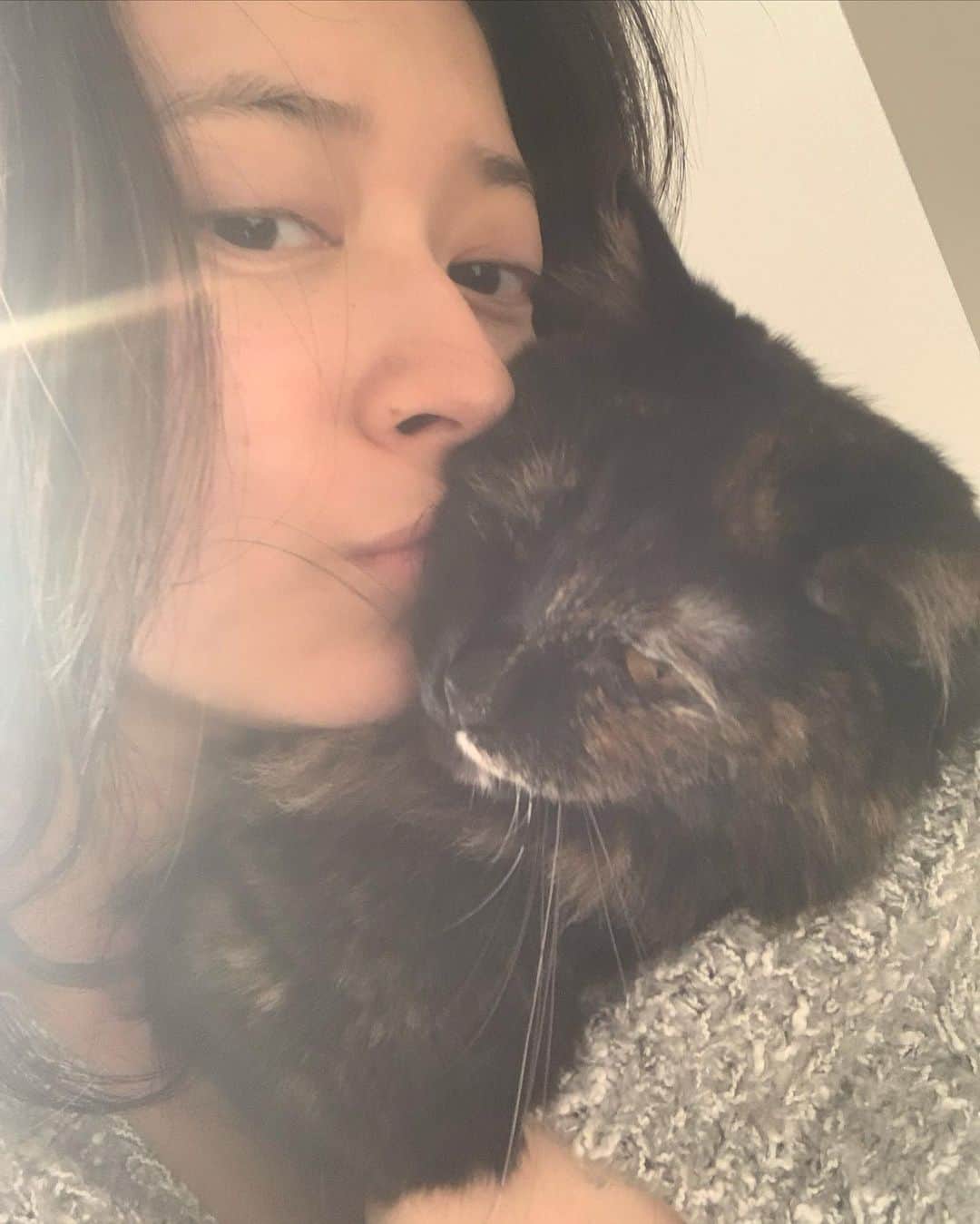 後藤郁さんのインスタグラム写真 - (後藤郁Instagram)「溺愛。  #ダージリンという天使 天使 #猫のいる暮らし」3月29日 19時18分 - kaoru_goto.official