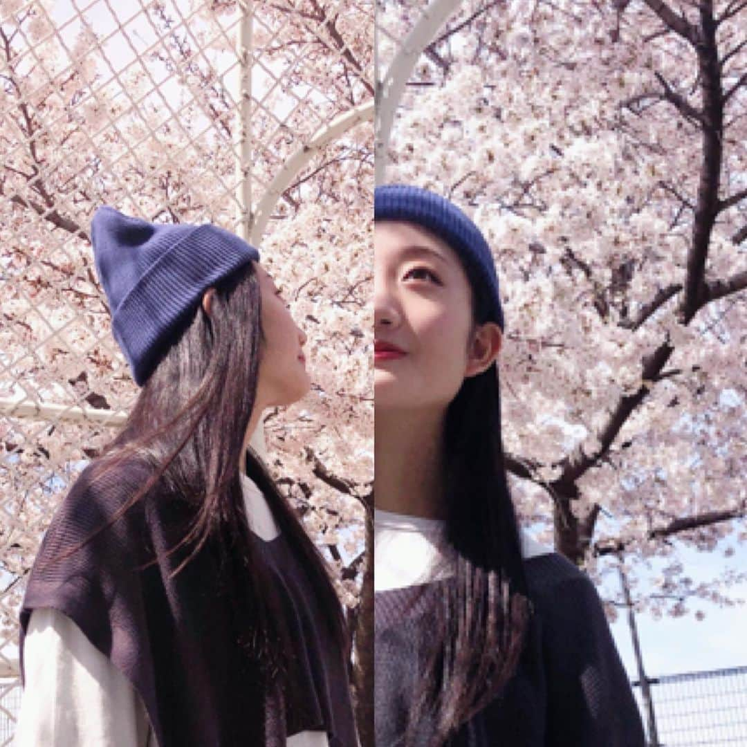 りお（民謡ガールズ）さんのインスタグラム写真 - (りお（民謡ガールズ）Instagram)「日本の花ですネ🌸 詠でよまれている花のほとんどが、桜を意味しているんですよね！！ 美しい🍡 ・ ・ ・ ・ ・ ・ ・ #桜 #さくら #cherryblossom #花 #春 #春休み #spring #followｍe #05 #photography #japanese #japanesegirl #japaneseculture #likeforlikes #いいね #heart #좋아요반사 #팔로우백 #소통그램 #셀카 #民謡 #民謡アンバサダー #吏桜」3月29日 19時14分 - minyo__rio