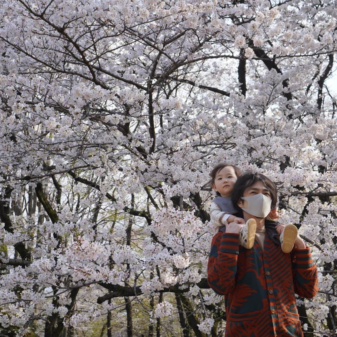 武田祐介さんのインスタグラム写真 - (武田祐介Instagram)「とても春」3月29日 11時10分 - yusuke_takeda_