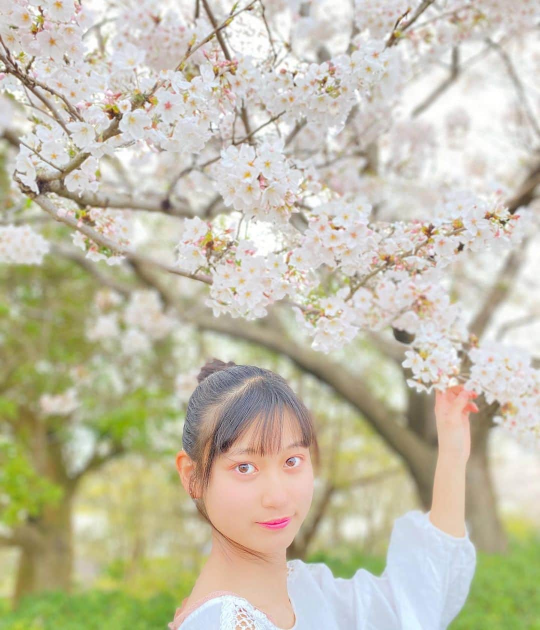 冨永真姫さんのインスタグラム写真 - (冨永真姫Instagram)「さくら🌸  #マッキー #さくら #sakura  #桜 #cherryblossom  #ポートレート #canon  #春 #春コーデ #お団子ヘア  #おしゃれさんと繋がりたい  #新中2 #シブサン #スタマガフィール  #stamagafille  #anapgirlwebモデル」3月29日 11時39分 - t_maki1003