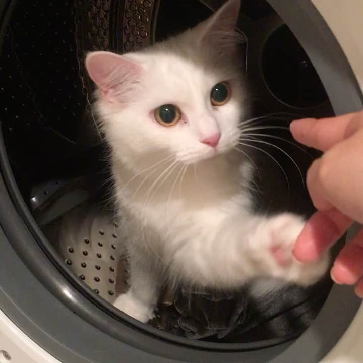 若菜みさのインスタグラム：「うーちゃん…」