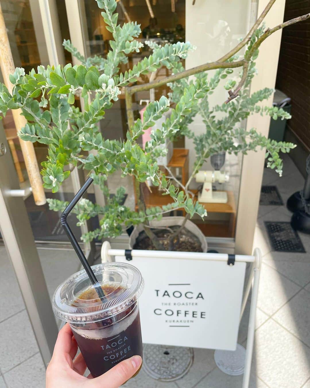 のインスタグラム：「. 🌿  午後のアイスコーヒー。  #taocacoffee #午後のコーヒー」