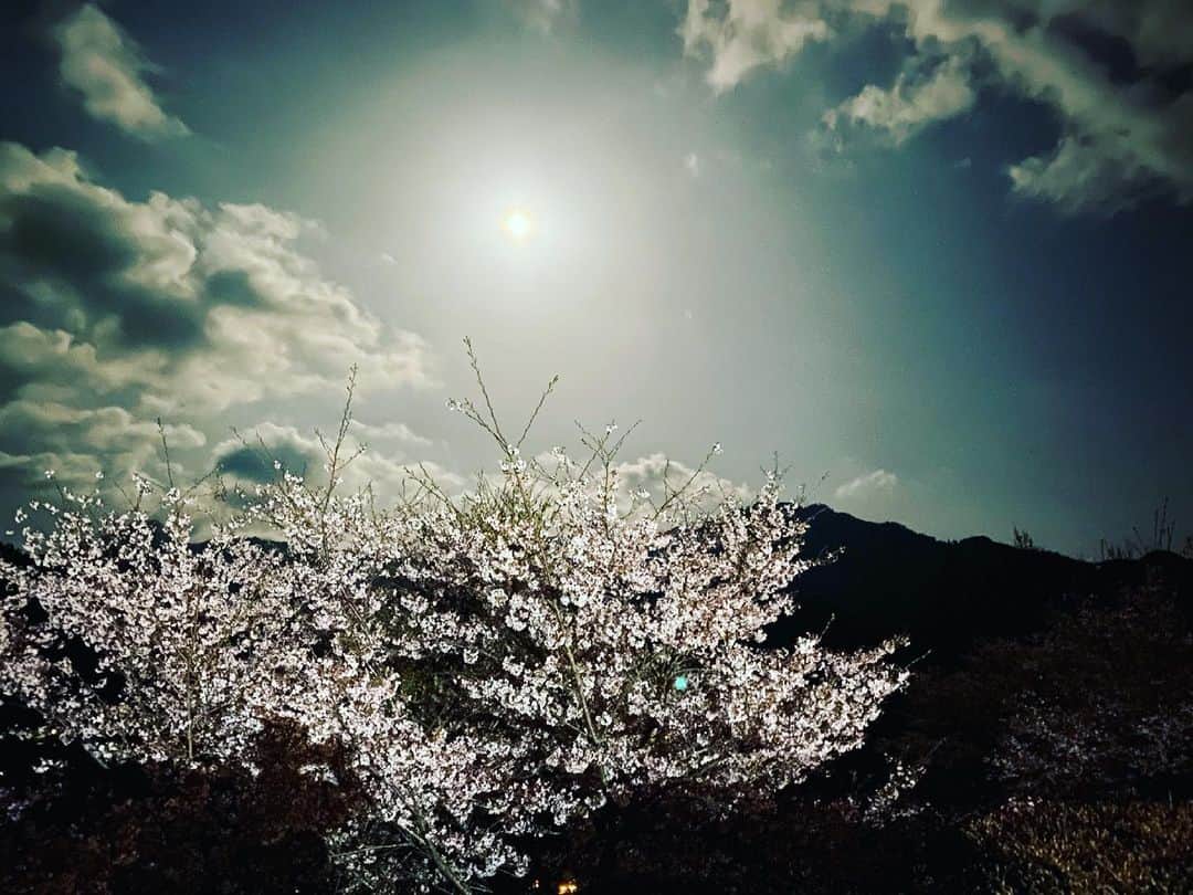 窪塚洋介のインスタグラム：「4年ぶりの宮崎滞在 🌸🌝🌸 愛変わらず豊かで最高でした✨  今月はDJ MAGARA追っかけ部隊です🔊  KAZありがとう‼️」