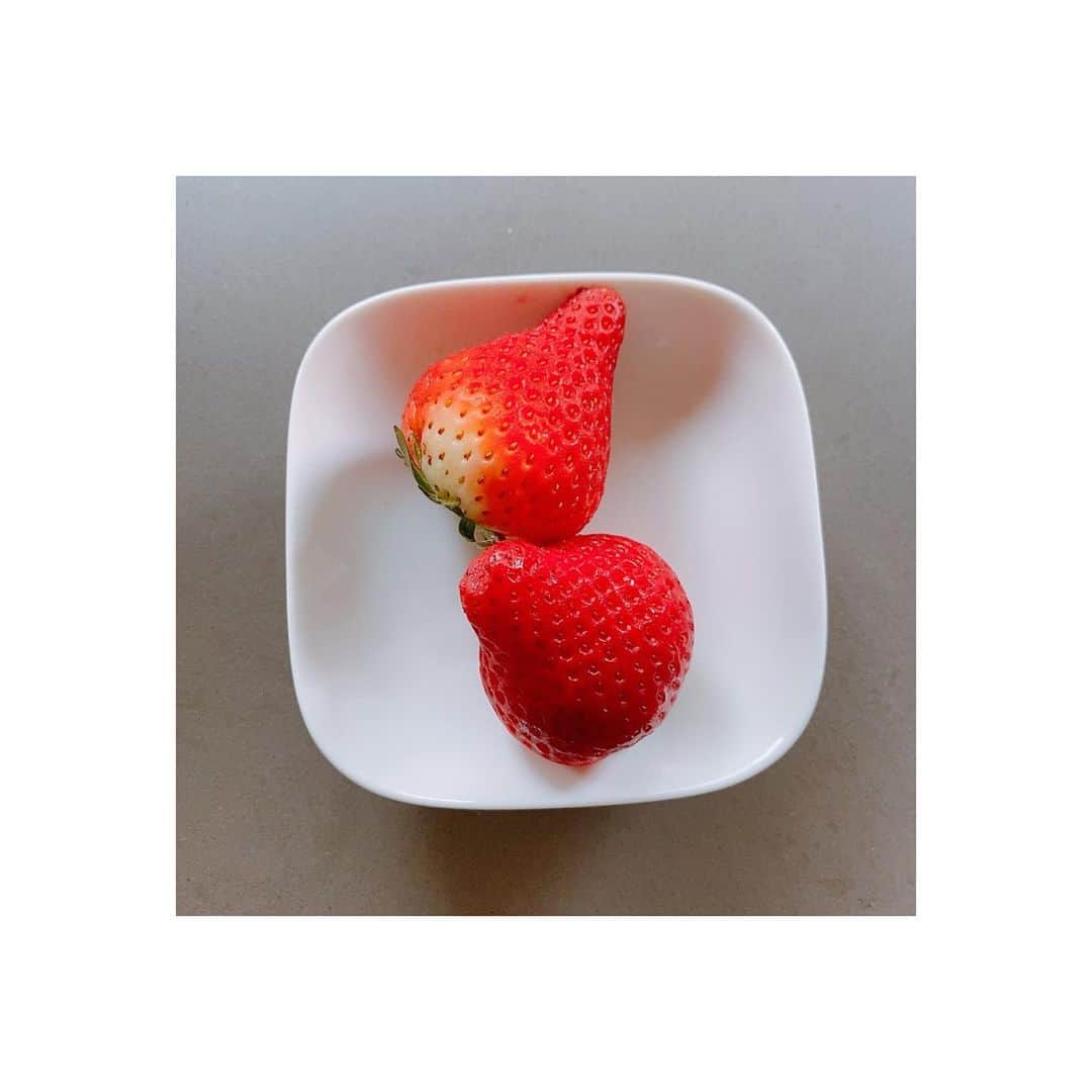 阿部華也子さんのインスタグラム写真 - (阿部華也子Instagram)「♪  とてもお世話になっている方から  大好きなイチゴが届きました❤️  すっごい大きくて甘くて とてもおいしいです🍓  しあわせです☺️  #いちご #華かがり #私の名前とかけてくれた🥰 #岐阜県産なんだって🤔💕」3月29日 14時33分 - kayakoabeofficial