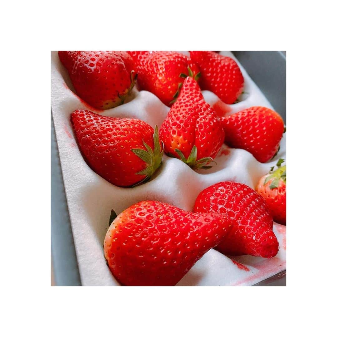 阿部華也子のインスタグラム：「♪  とてもお世話になっている方から  大好きなイチゴが届きました❤️  すっごい大きくて甘くて とてもおいしいです🍓  しあわせです☺️  #いちご #華かがり #私の名前とかけてくれた🥰 #岐阜県産なんだって🤔💕」