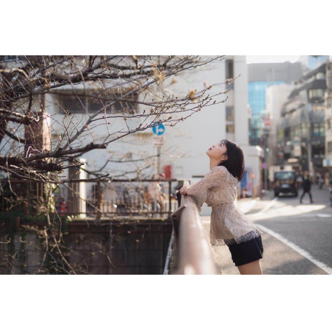 忍野さらさんのインスタグラム写真 - (忍野さらInstagram)「咲く前の🌸 #春」3月29日 15時23分 - oshinosara