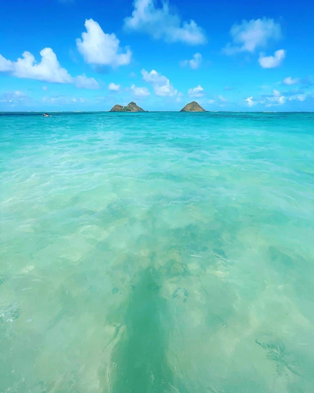 鮎河ナオミのインスタグラム：「撮影で行ったラニカイビーチ🌊  あまりにも綺麗で、撮影中だったけど我慢できずに飛び込みました🤣 . . . . . #lanikaibeach #lanikai #kailua #hawaii」