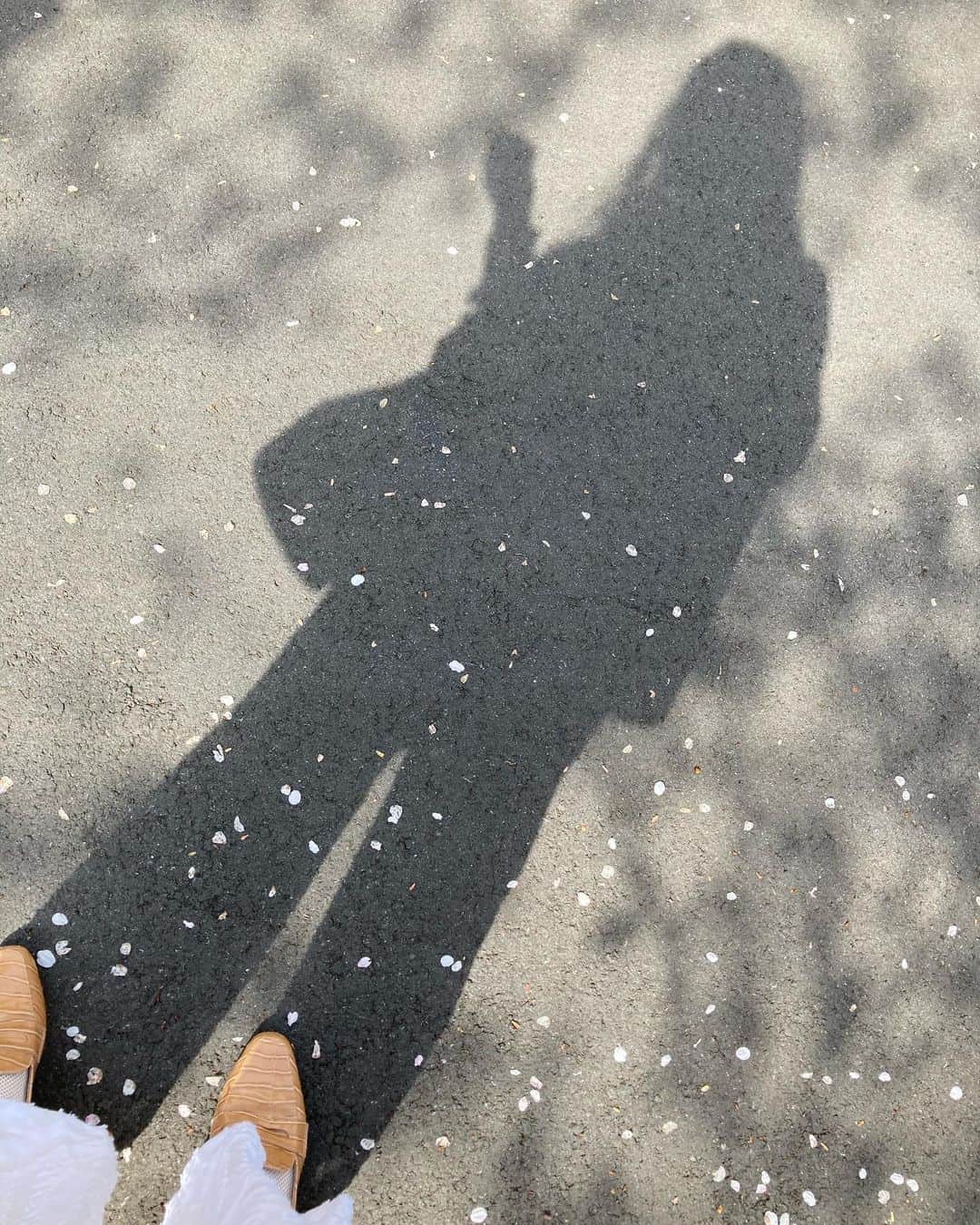 千眼美子のインスタグラム：「・ 🌸👜🚶‍♀️ #桜 #花見 #散歩 #お花見」