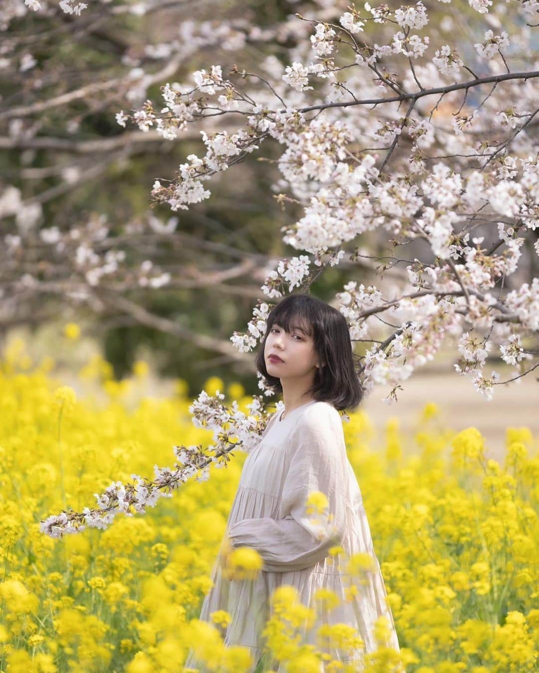 櫻間りえさんのインスタグラム写真 - (櫻間りえInstagram)「息をするみたいに、春を吸い込む。 すっと目を閉じる。 日向の風に溶ける。胸が軽くなる。   Art by @ohisamaking」3月29日 16時40分 - _moonciel