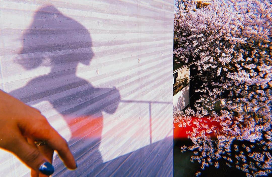 メロディー洋子のインスタグラム：「New projects in the works 🌸 #staytuned ✨」