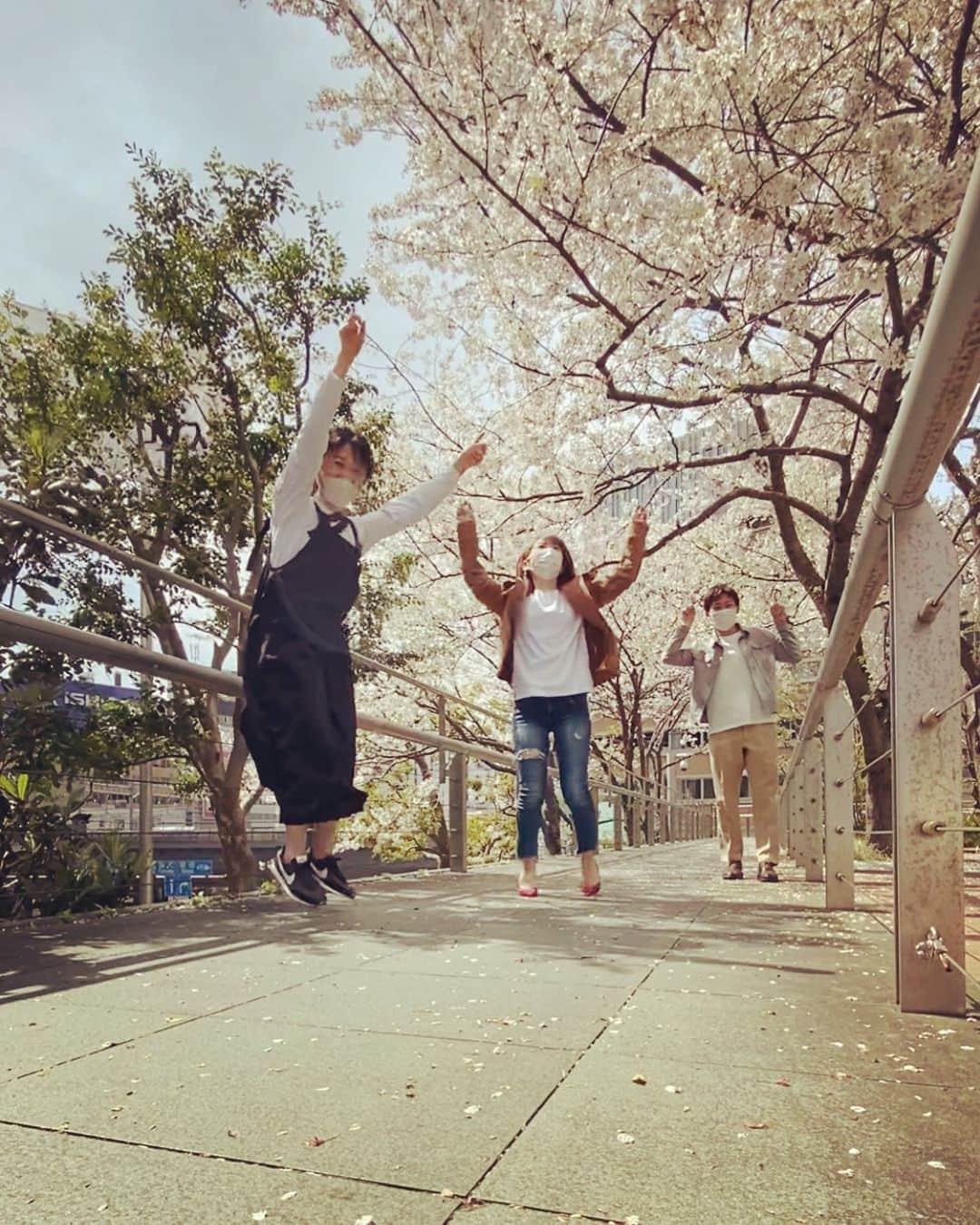 奈良岡希実子のインスタグラム：「日テレの桜を日テレ勤務終わりにゆいこさんとこばさまと眺めてきました🌸」