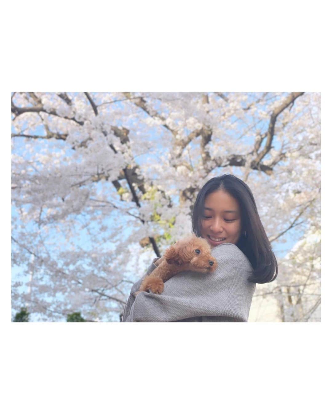 武井咲さんのインスタグラム写真 - (武井咲Instagram)「🌸」3月29日 17時30分 - emitakei_official
