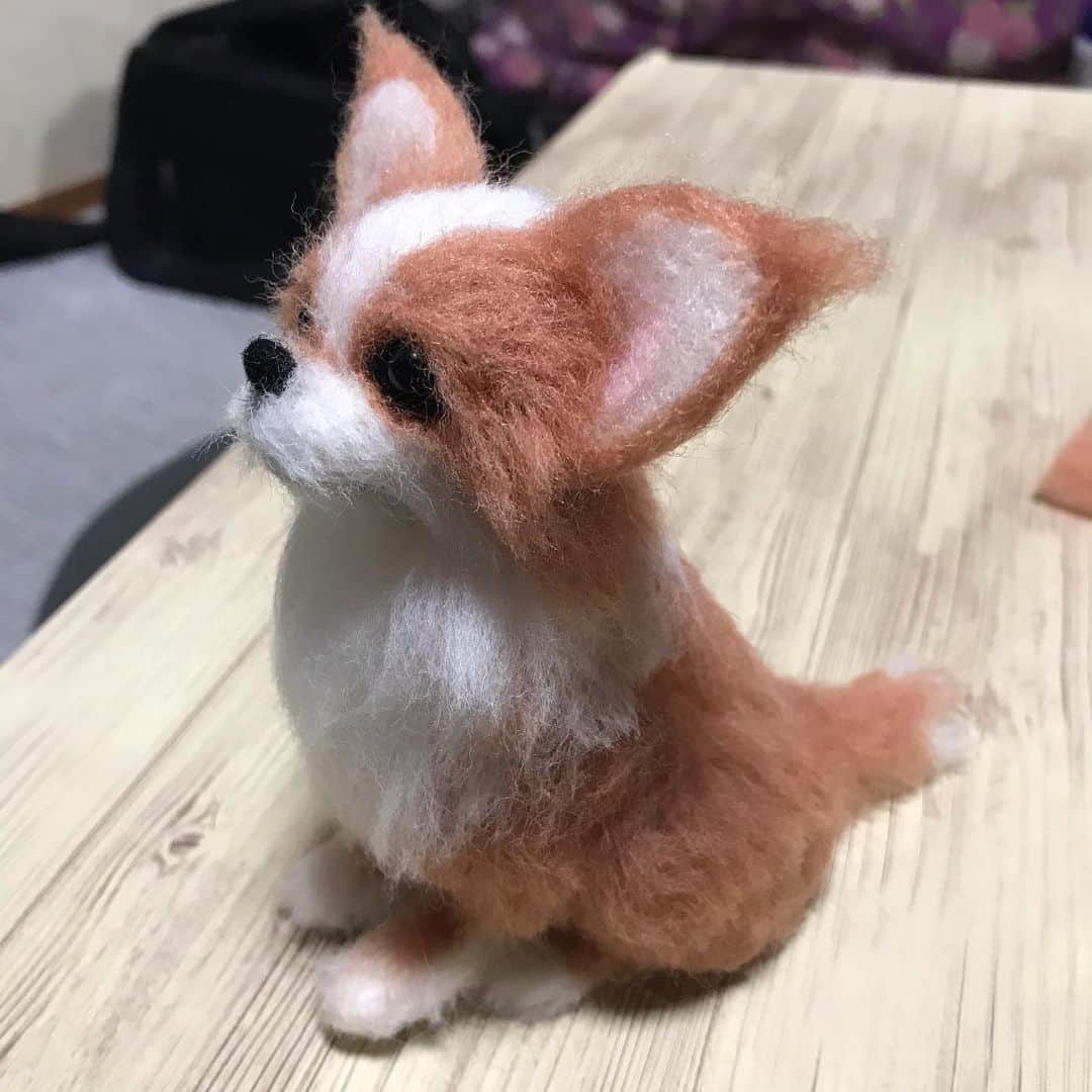 みずえさんのインスタグラム写真 - (みずえInstagram)「本日のチクチク 長毛犬の植毛練習💦 ロングコートチワワのつもりが謎の生き物になりました。ミックス犬？キツネ？フェネック？動物飼ってないから毛流れやトリミングがさっぱりわからないー！から超適当🙄 #羊毛フェルト #練習中 #羊毛フェルト初心者 #切った毛が散らかりまくり」3月29日 17時31分 - mizuemusic