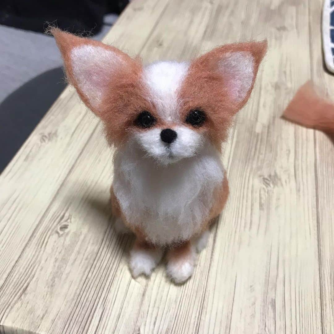 みずえさんのインスタグラム写真 - (みずえInstagram)「本日のチクチク 長毛犬の植毛練習💦 ロングコートチワワのつもりが謎の生き物になりました。ミックス犬？キツネ？フェネック？動物飼ってないから毛流れやトリミングがさっぱりわからないー！から超適当🙄 #羊毛フェルト #練習中 #羊毛フェルト初心者 #切った毛が散らかりまくり」3月29日 17時31分 - mizuemusic